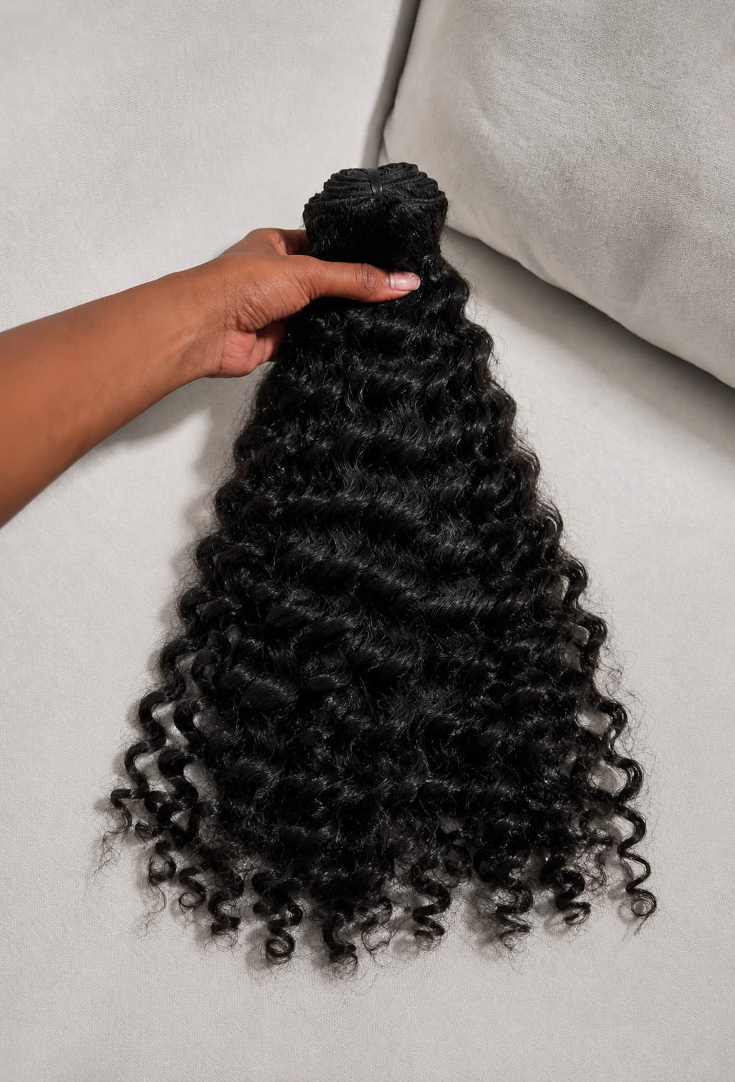 Burmese Curly à l'unité Virgin