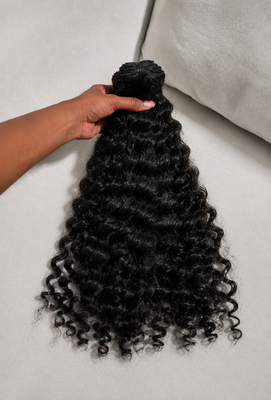 Burmese Curly à l'unité Virgin